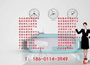 專業(yè)代理網(wǎng)絡(luò)文化經(jīng)營(yíng)許可證審批 全面指南與實(shí)際操作